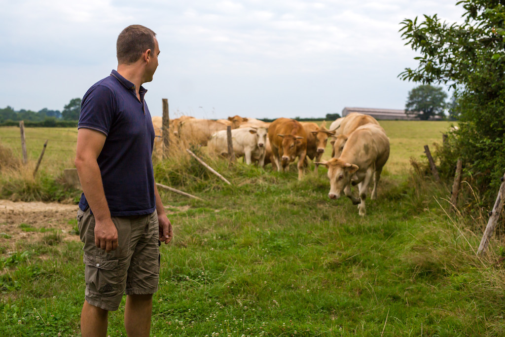 eleveur vaches allaitantes sortie pré